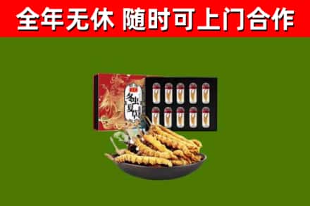 南涧县回收冬虫夏草价格